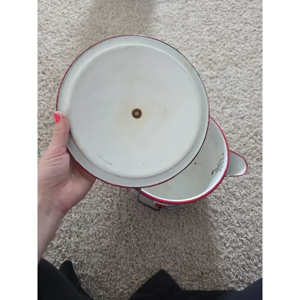 Vintage Large Tea Kettle/Pot With Goose